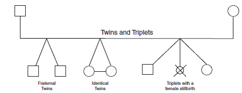 Construct a genogram of the Miller family (see Box 1.4 ... | Chegg.com