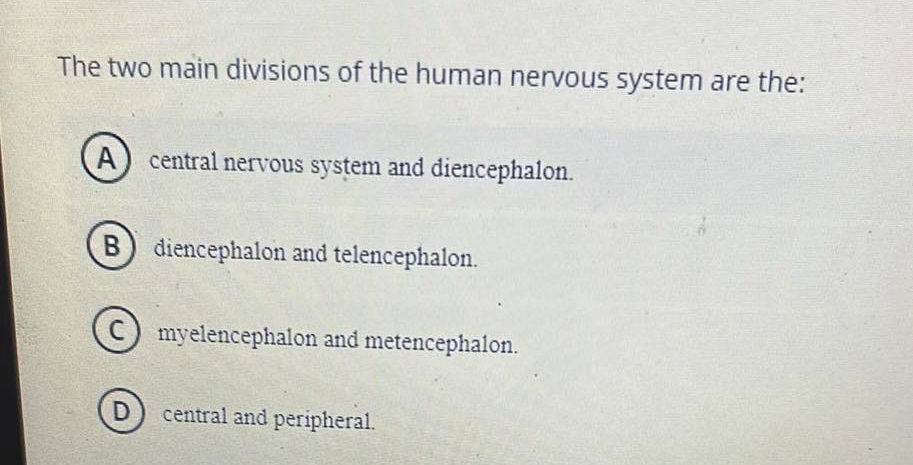 Solved The two main divisions of the human nervous system | Chegg.com