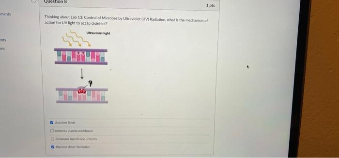 Solved Question 8 1 pts ments Thinking about Lab 13. Control | Chegg.com