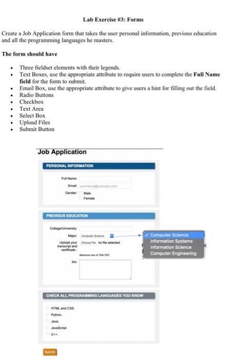 Create a Job Application form that takes the user personal information, previous education and all the programming languages 