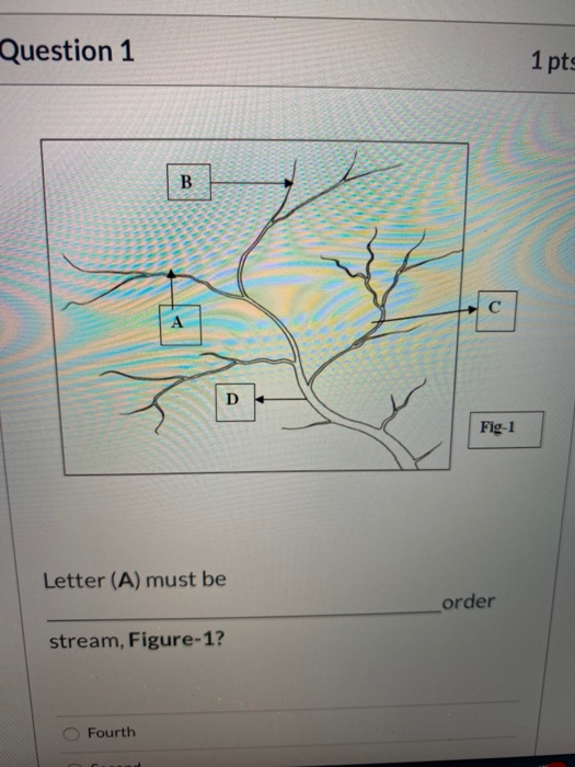 Solved Question 1 1 pts B C А Dk Fig.1 Letter (A) must be | Chegg.com