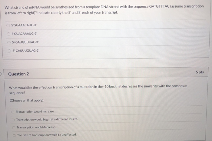 Solved What strand of mRNA would be synthesized from a | Chegg.com