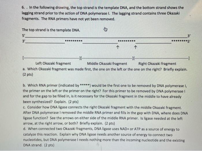 Solved 6. . In the following drawing, the top strand is the | Chegg.com