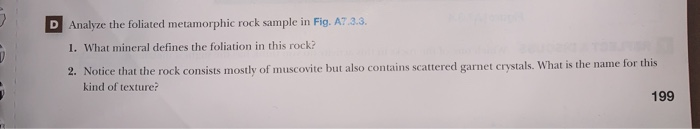 Solved D Analyze the foliated metamorphic rock sample in | Chegg.com