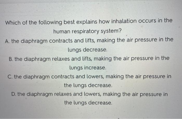 Solved Which of the following best explains how inhalation | Chegg.com