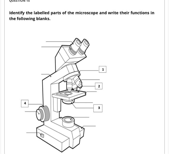 Solved Identify the labelled parts of the microscope and | Chegg.com