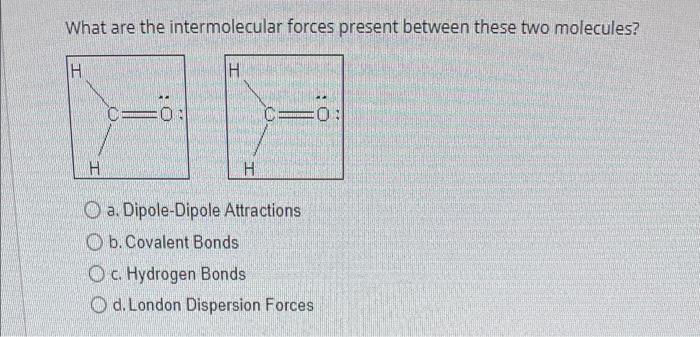 Solved What are the intermolecular forces present between Chegg