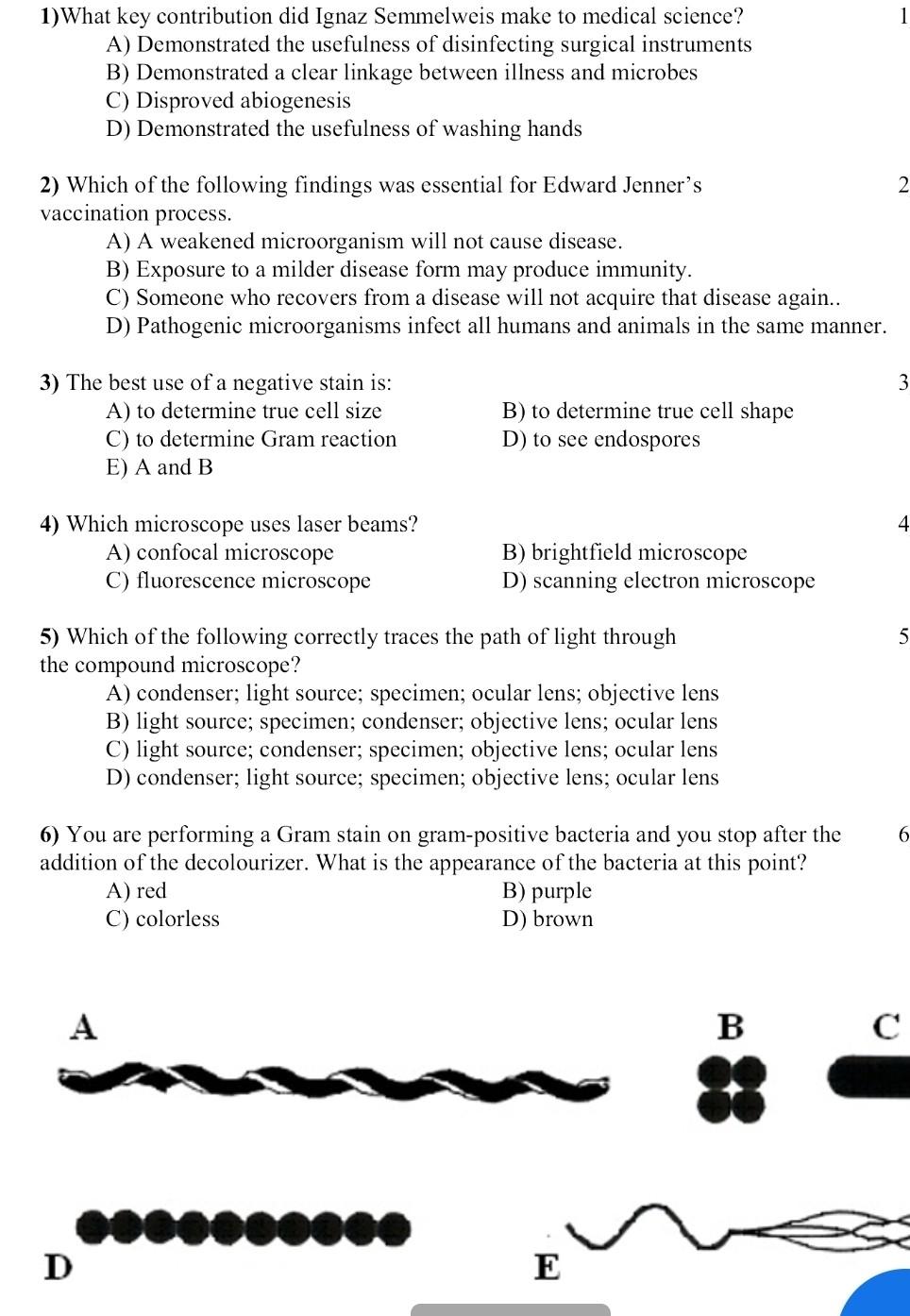 Solved 1) What key contribution did Ignaz Semmelweis make to | Chegg.com