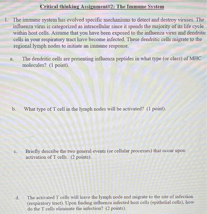Respiratory system test bank image