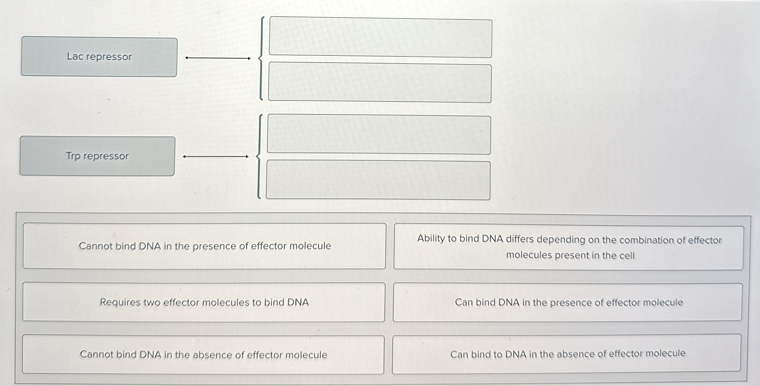 Solved Lac repressorTrp repressorAbility to bind DNA differs | Chegg.com