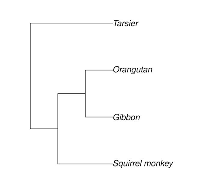 Third Tree Exercise This assignment has three steps. | Chegg.com