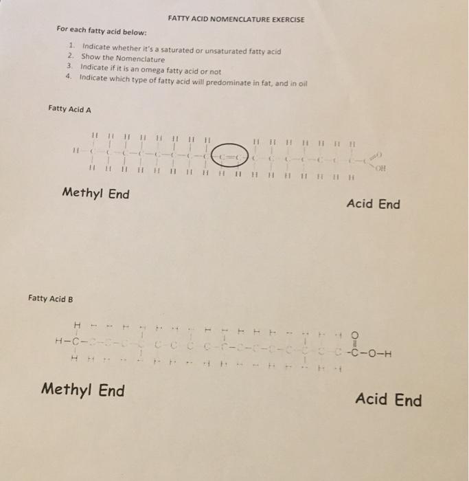Solved FATTY ACID NOMENCLATURE EXERCISE For each fatty acid