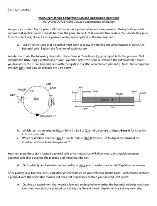 Solved Molecular Cloning Comprehension And Application | Chegg.com