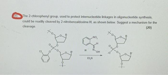 The 2-chlorophenyl group, used to protect | Chegg.com
