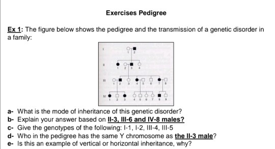 Solved Exercises Pedigree Ex 1: The figure below shows the | Chegg.com