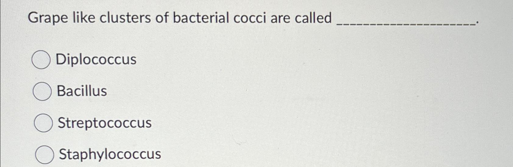 Solved Grape like clusters of bacterial cocci are | Chegg.com