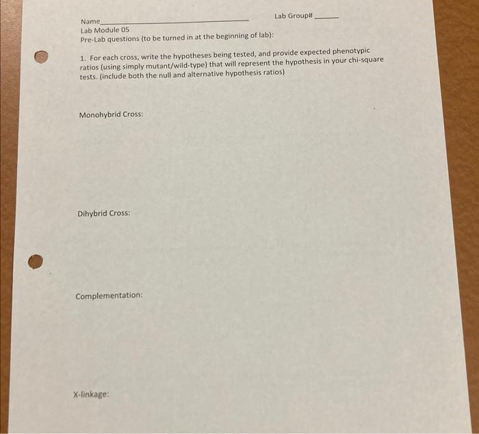 Solved Name Lab Module 05 Pre-Lab questions (to be turned in | Chegg.com