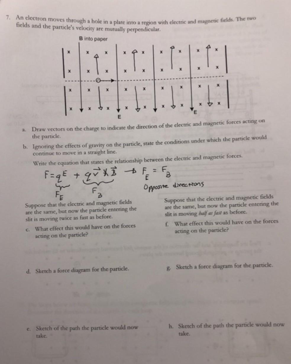 Solved Suppose that the electric and magnetic fields are the | Chegg.com