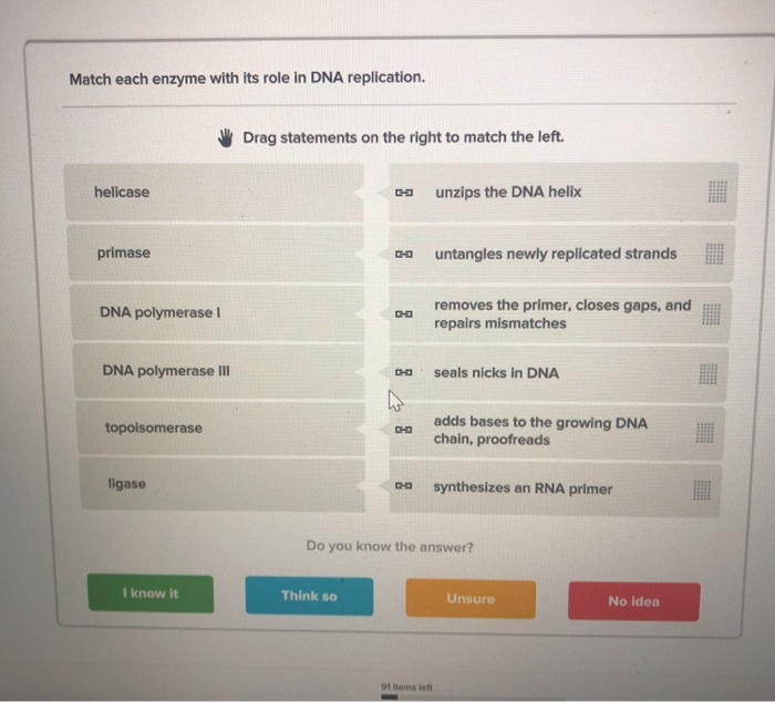 solved-match-each-enzyme-with-its-role-in-dna-replication-chegg