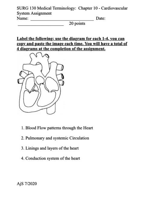 Chapter 4 medical terminology answers