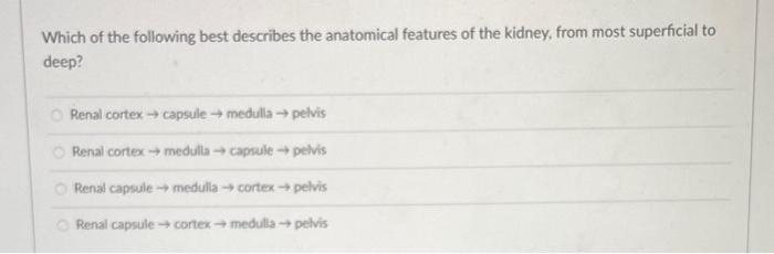 Solved Which of the following best describes the anatomical | Chegg.com