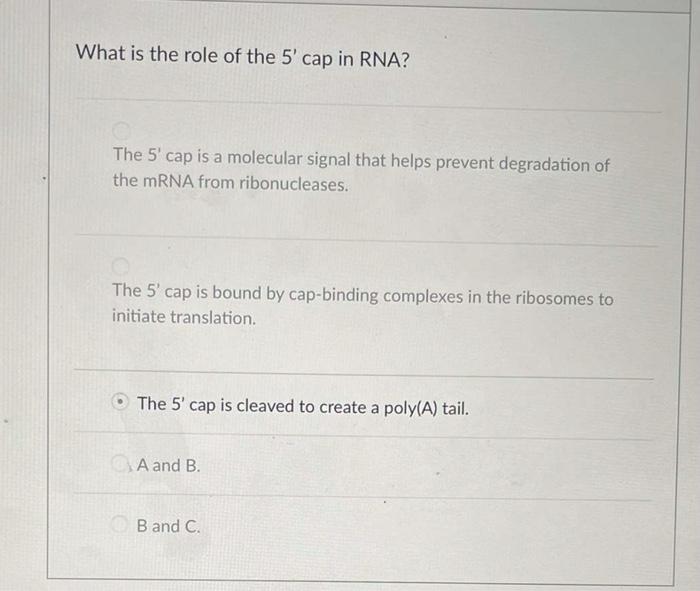 Solved What is the role of the 5' cap in RNA? The 5' cap is | Chegg.com