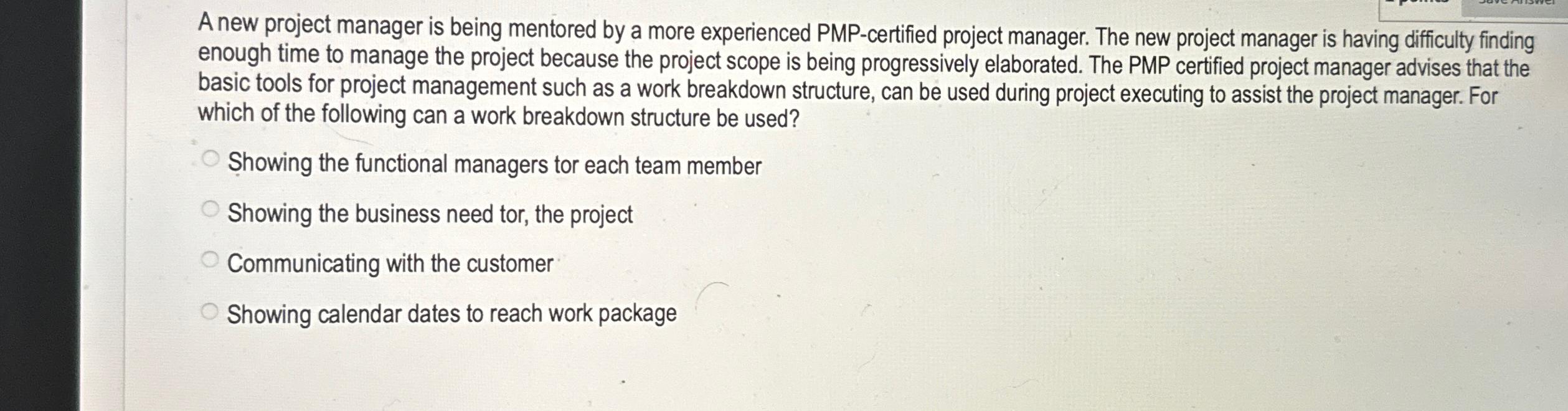 Solved A new project manager is being mentored by a more | Chegg.com