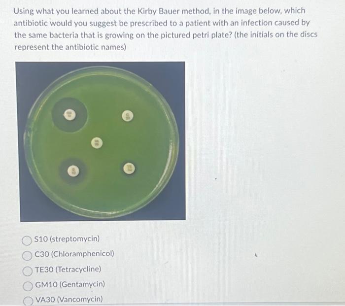 Solved Using what you learned about the Kirby Bauer method,