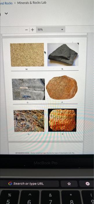 Solved SEDIMENTARY ROCKS - Sedimentary Rocks Play A Special | Chegg.com