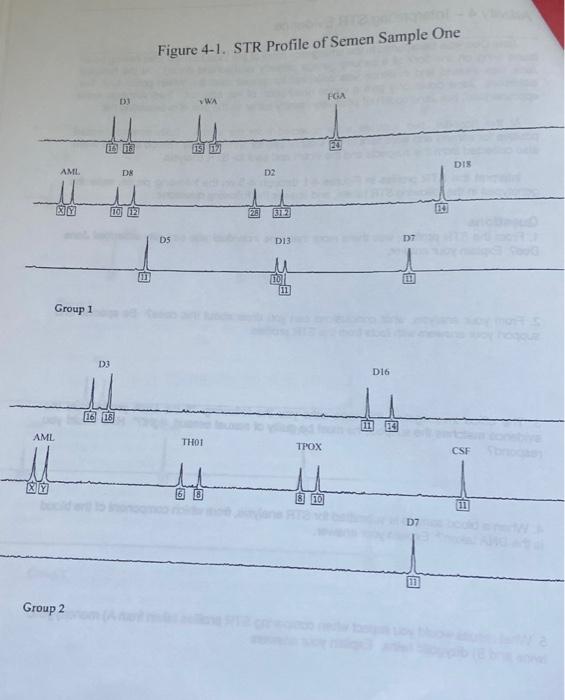 Solved Activity 4 - Interpreting STR Evidence Jane Doe was | Chegg.com