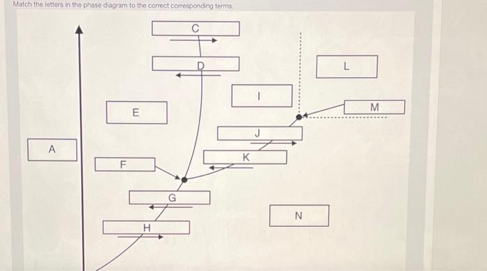 Solved Match the letters in the phase diagram to the correct | Chegg.com