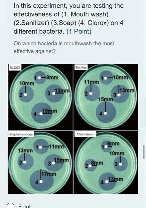 bacteria mouthwash experiment