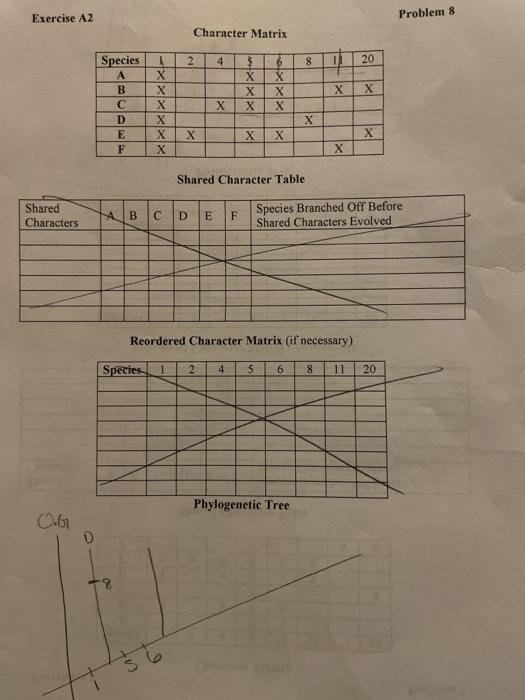 Solved Exercise A2 Problem 6 Character Matrix 5 8 20 10 11 | Chegg.com
