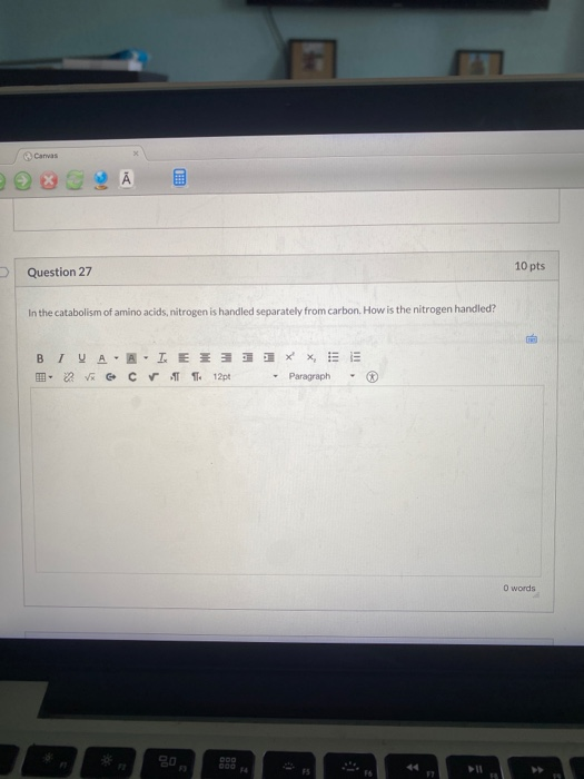 Solved Canvas Question 27 10 pts In the catabolism of amino | Chegg.com