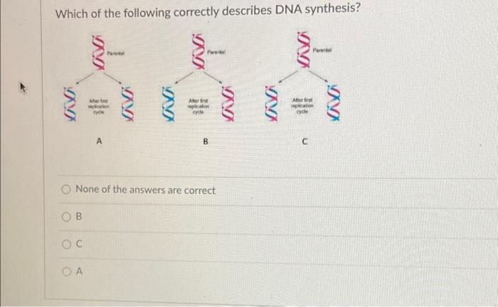Solved Which of the following correctly describes DNA | Chegg.com