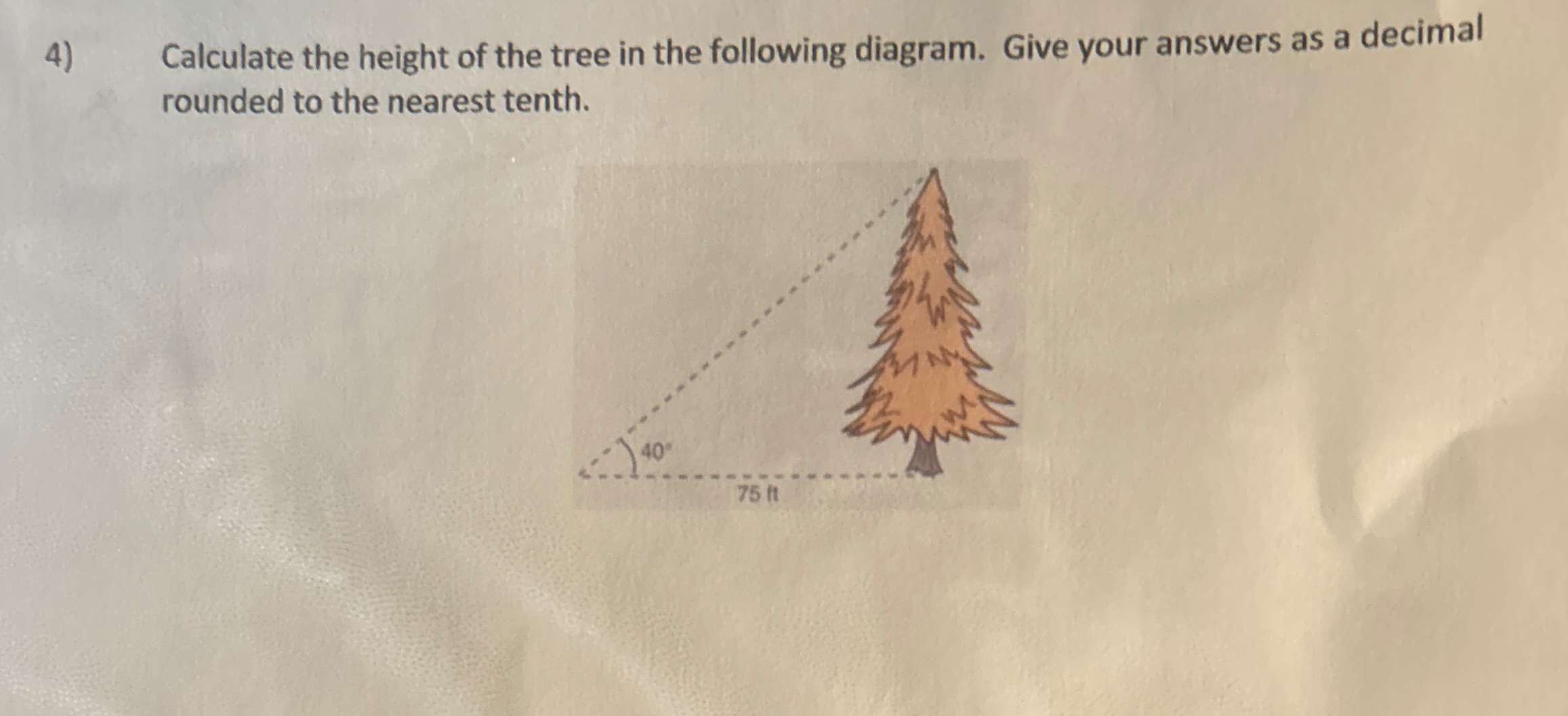 Solved Calculate The Height Of The Tree In The Following Chegg Com