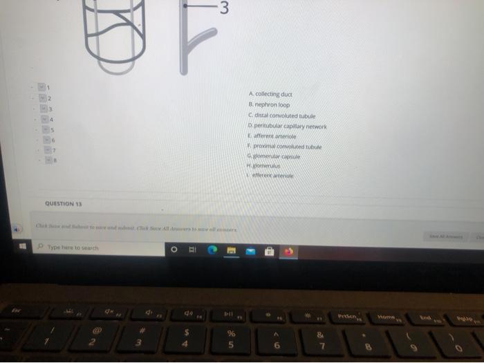 Solved Question Completion Status: Match the numbers in the | Chegg.com