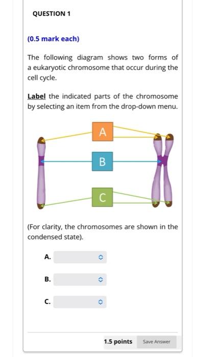 what are two parts of a chromosome