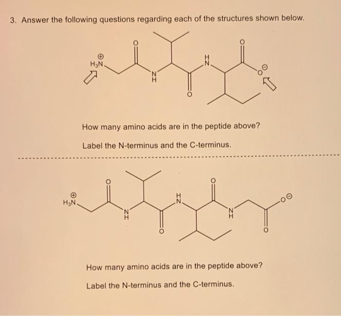 Solved 2. Using the structure below, fill in the boxes with | Chegg.com