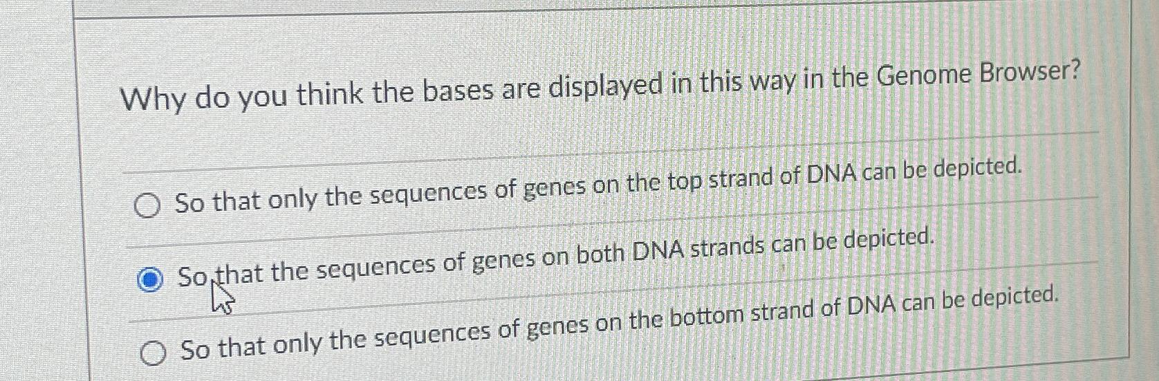 Solved Why do you think the bases are displayed in this way | Chegg.com