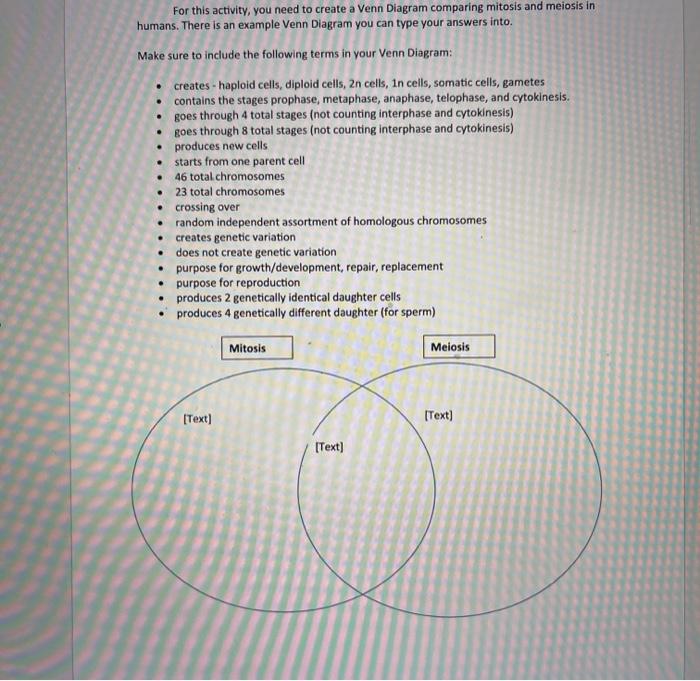 meiosis vs mitosis venn diagram