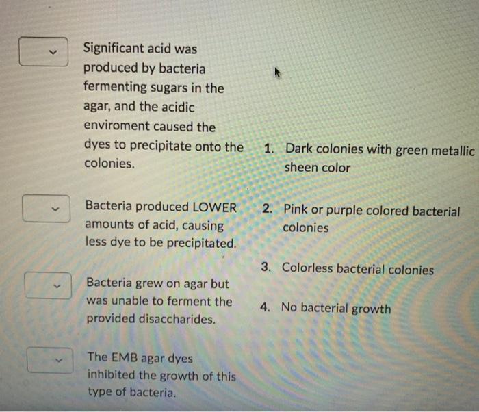 Significant acid was
produced by bacteria
fermenting sugars in the
agar, and the acidic
enviroment caused the
dyes to precipi