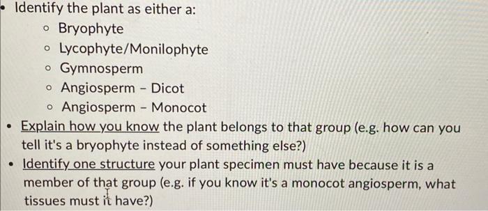 Solved Identify the plant as either a: - Bryophyte - | Chegg.com