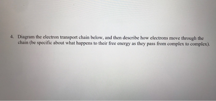 Solved 4. Diagram the electron transport chain below, and | Chegg.com