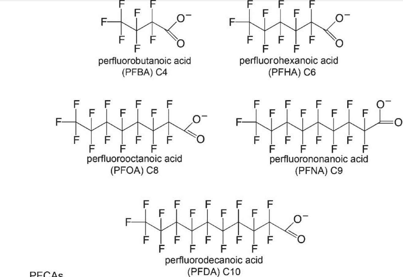 Pfuna Structure Solved How would you describe these structures? What do they | Chegg.com