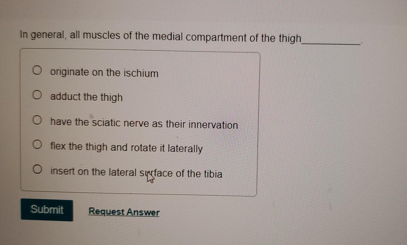 Adduct discount the thigh