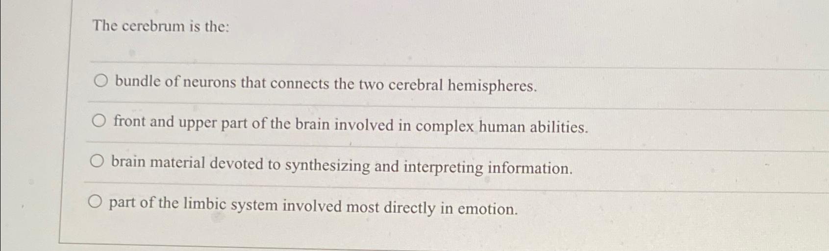 the bundle of nerves that connects the brain's two hemispheres