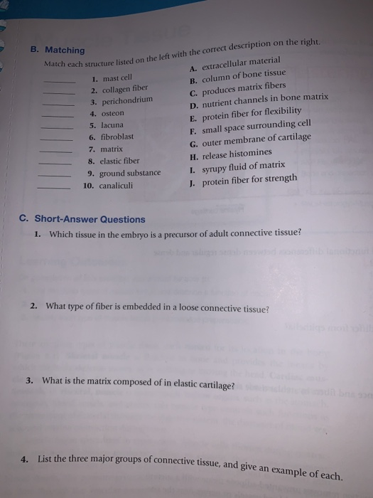 Solved B Matching Match Each Structure Listed On The Left