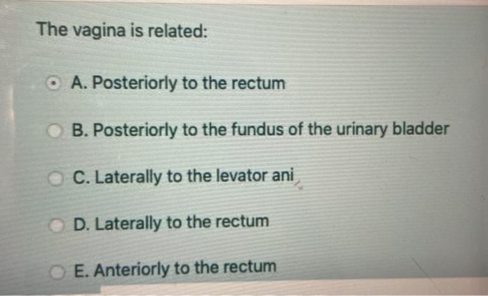 The Uterine Artery Is Crossed By The Uterine Art Chegg Com