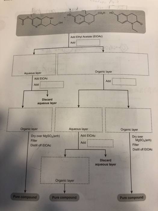 Solved Add Ethyl Acetate (ETOAc) Add Aqueous layer Organic | Chegg.com